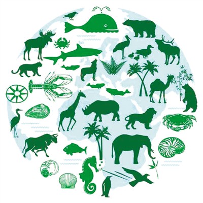 生物多样性保护：反思与自然的关系，践行绿色生产和生活方式