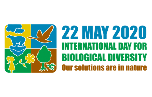 5月22日国际生物多样性日（IDB）主题“我们的解决方案在自然界”
