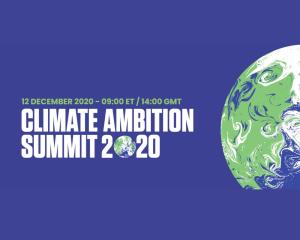 “气候雄心峰会(CAS2020)”充分展现社会经济发展的全面绿色转型