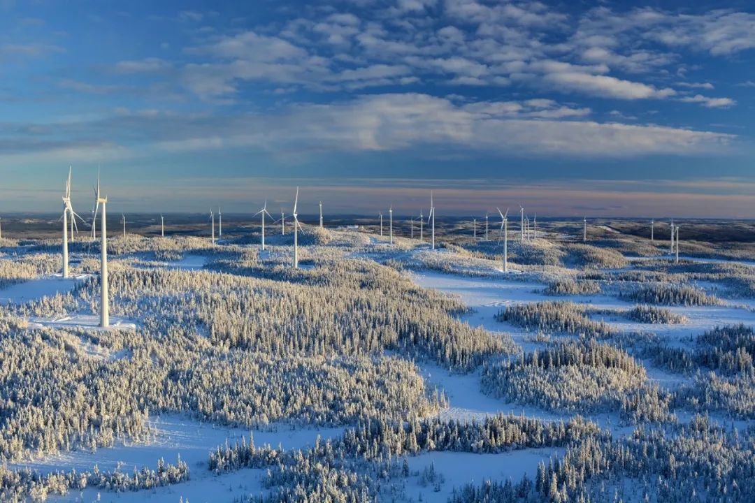 只有一个地球：瑞典将主办2022年世界环境日