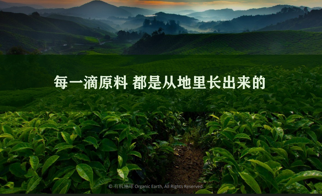 不只是情怀，小微企业“有机地球(Organic Earth)”的ESG突围之路